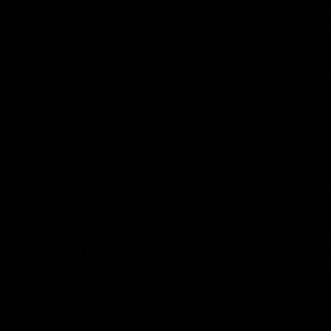 Meet your Posher, Angelica